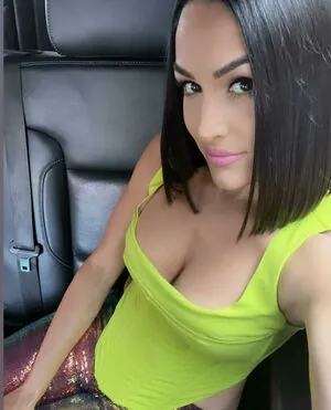The Bella Twins: