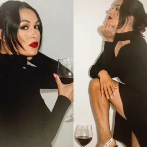 The Bella Twins: