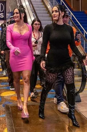The Bella Twins: