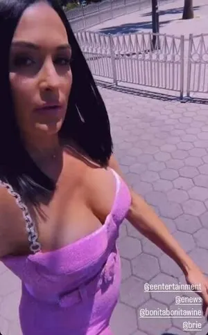 The Bella Twins: