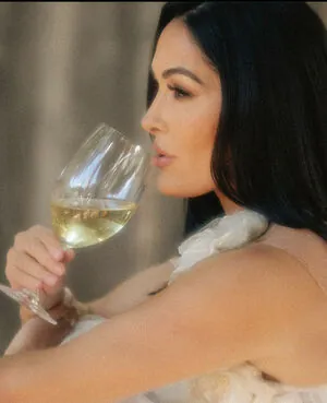The Bella Twins: