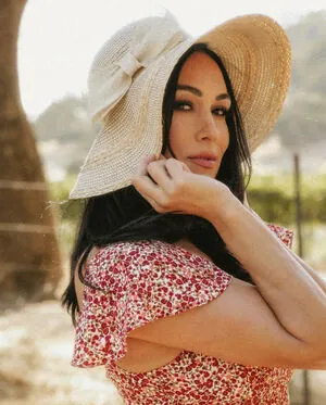 The Bella Twins: