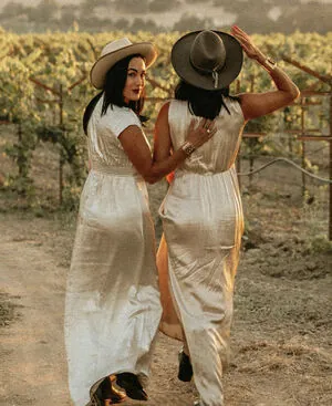 The Bella Twins: