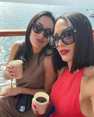 The Bella Twins: