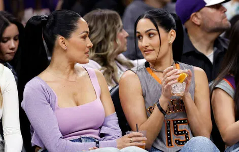 The Bella Twins: