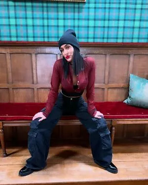 The Bella Twins: