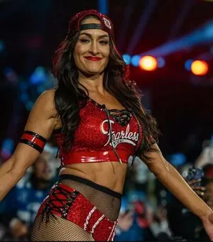 The Bella Twins: