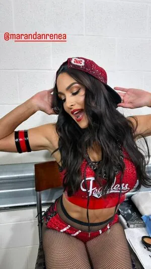 The Bella Twins: