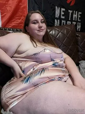 tabby_cat95