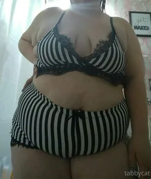 tabby_cat95