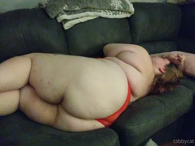 tabby_cat95