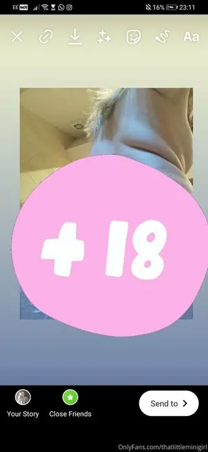 Thatlittleminigirl