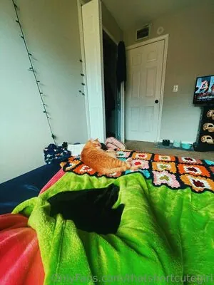 thatshortcutegirl