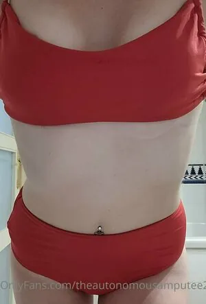 theautonomousamputee2