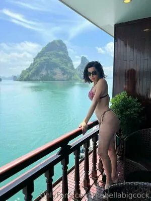 thebellabigcock