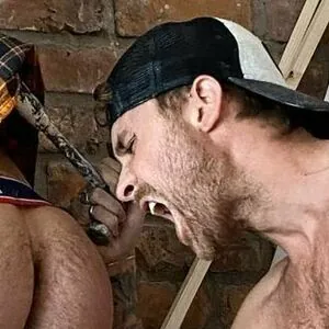 thebritishbear1