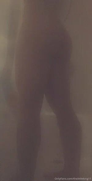 thelittlelynx11