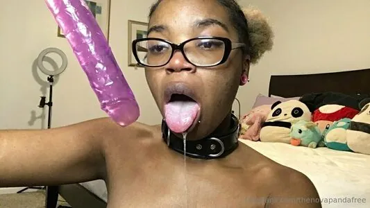 thenovapandafree