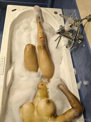 thepalkkarichick