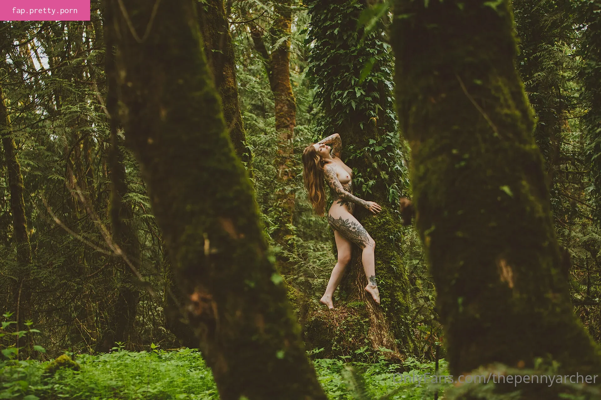 thepennyarcher - Photo #40