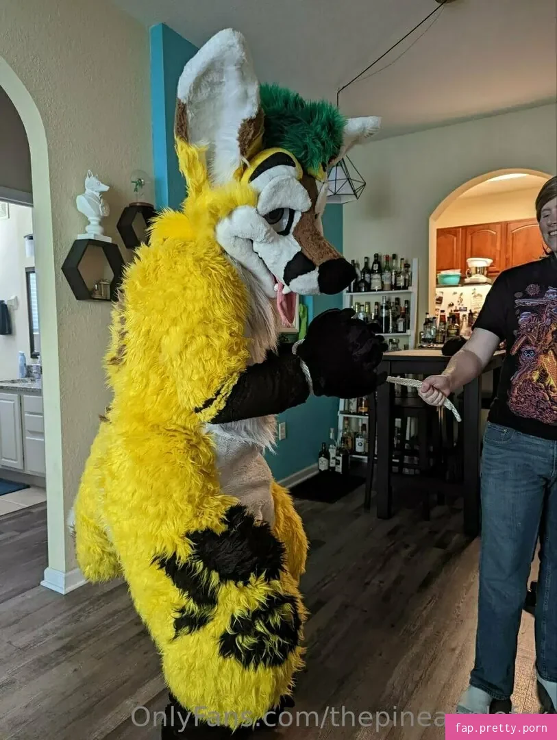 thepineapplefox - Photo #16