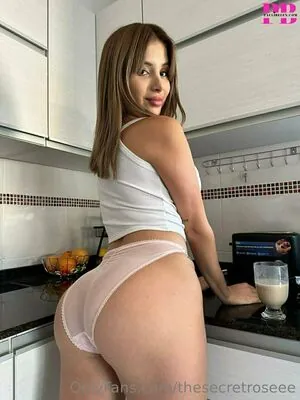 thesecretroseee