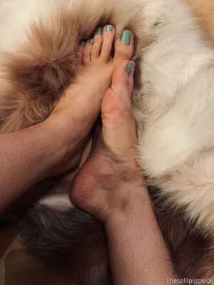 theselilpiggie6