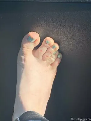 theselilpiggie6