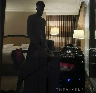 thevixenfiless