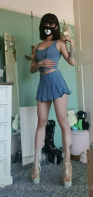 tinymixedpixie