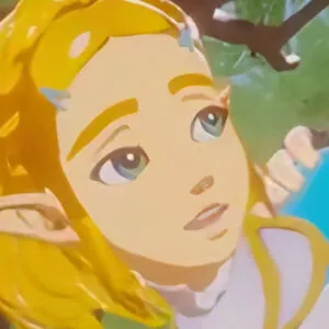 The Legend of Zelda Porn