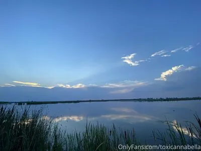 toxicannabella