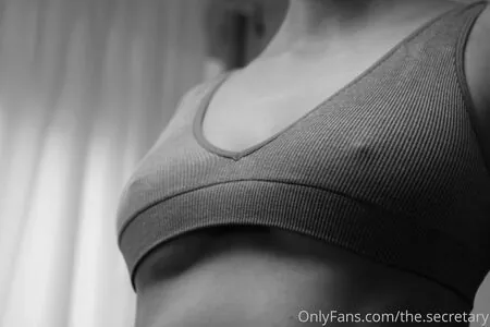 the.secretary content