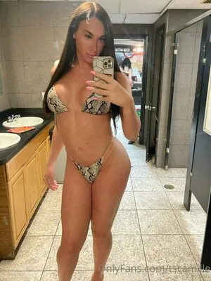 tscamille