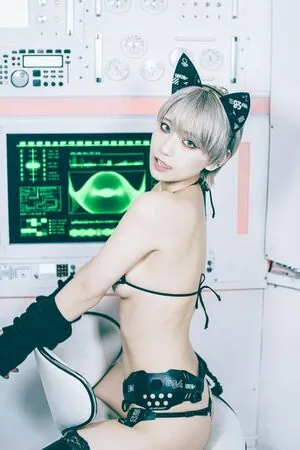 Tsunko
