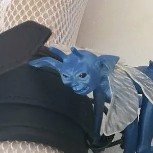 Tsuki_Tyann