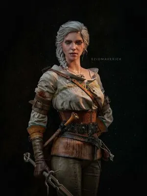 The Witcher