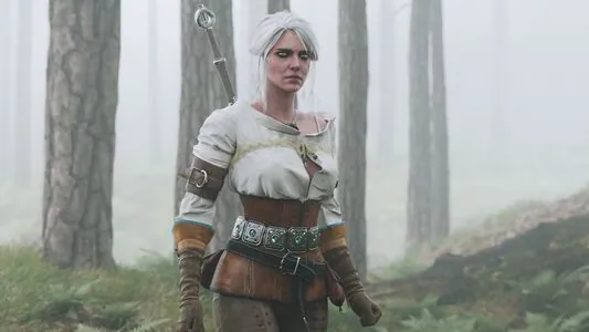 The Witcher