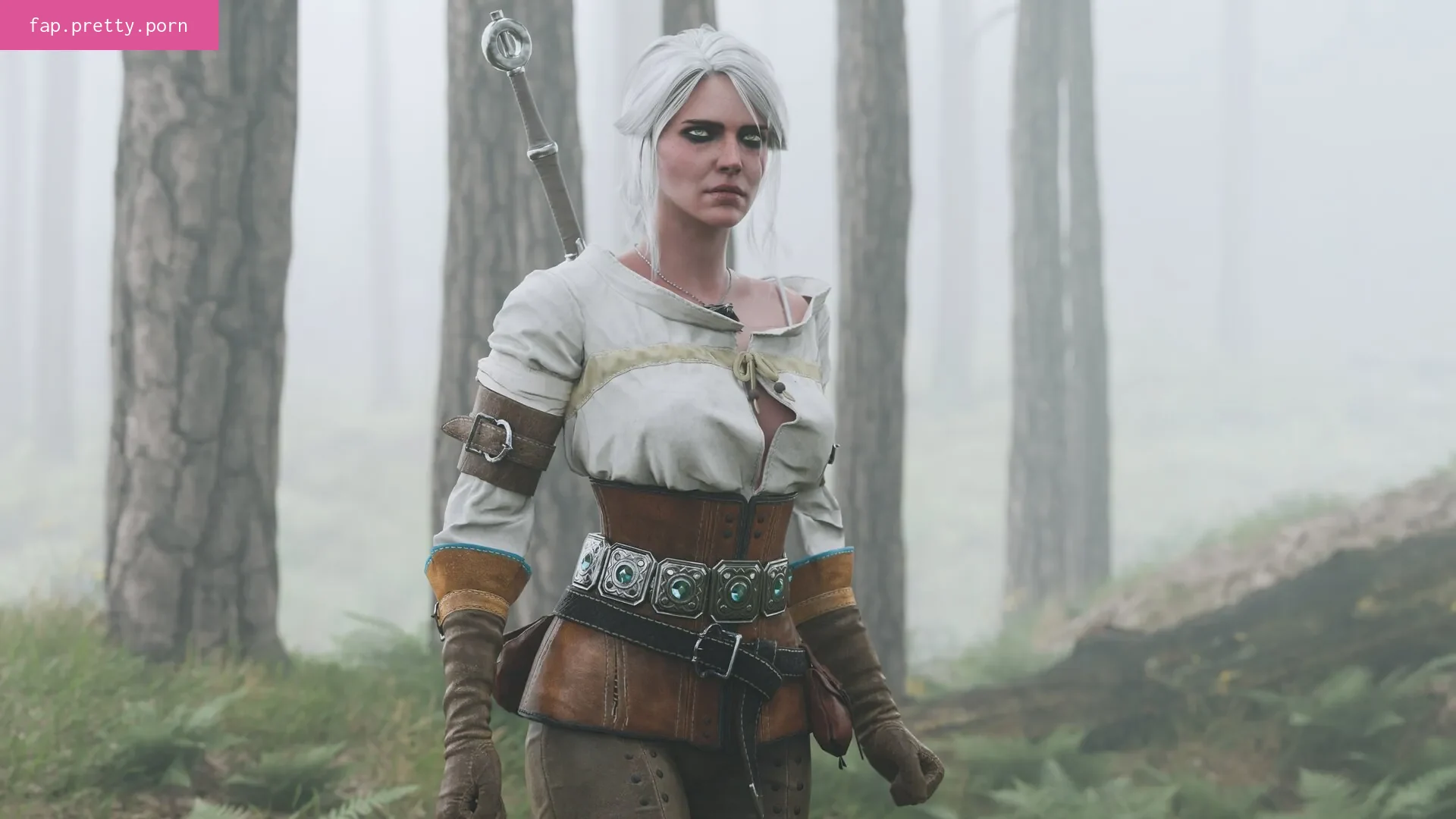 The Witcher - Photo #88
