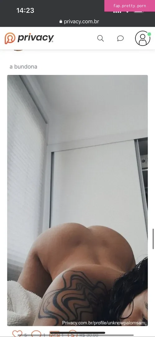 Unknowpalomsam - Photo #03