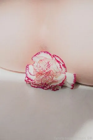 user427880893135200257