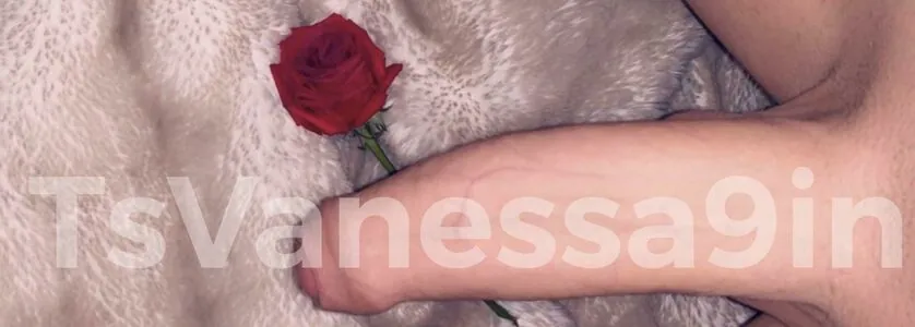 Vanessa9in