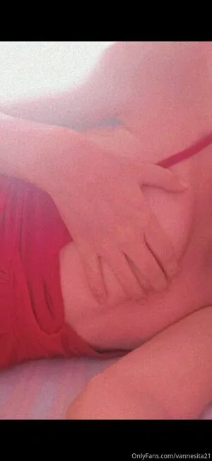 vannesita21
