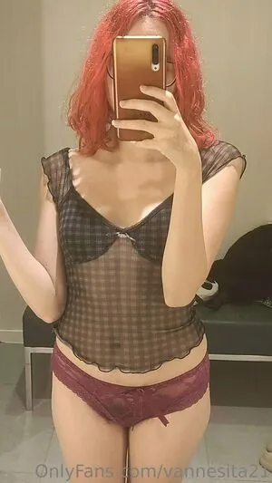 vannesita21