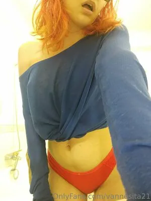 vannesita21