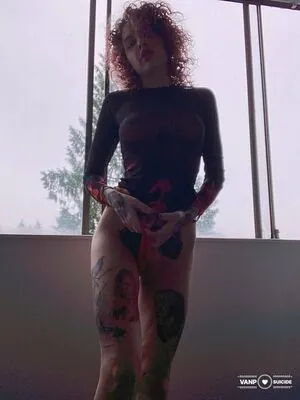 vanpsuicide