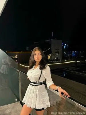 Valentina Guide