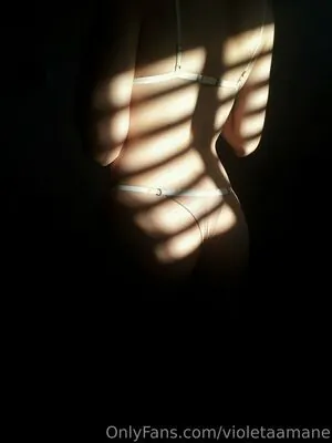 violetaamane