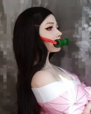 visagefox
