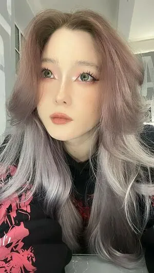 visagefox